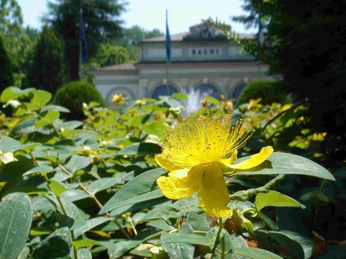 Grand Hotel Terme Riolo Terme Zewnętrze zdjęcie